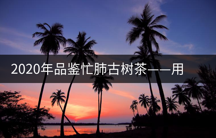 2020年品鑒忙肺古樹茶——用誠意獻(xiàn)上一杯好茶