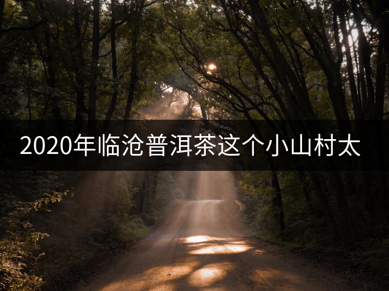2020年臨滄普洱茶這個(gè)小山村太不簡(jiǎn)單！