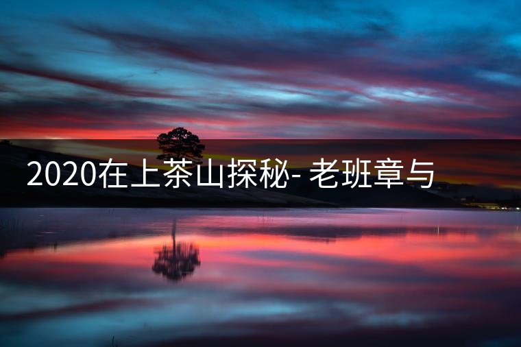 2020在上茶山探秘- 老班章與新班章，一母所生，一念之間，際遇迥異