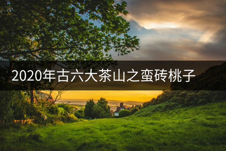 2020年古六大茶山之蠻磚桃子寨古樹茶，瓦龍古樹茶口感與特點