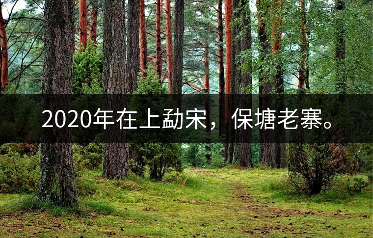 2020年在上勐宋，保塘老寨。
