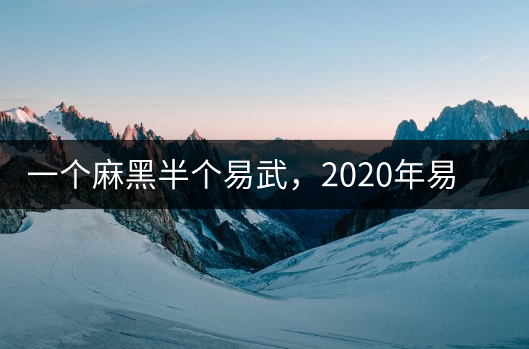 一個麻黑半個易武,2020年易武麻黑古樹春茶介紹 一個麻黑半個易武,2020年易武麻黑古樹春茶介紹