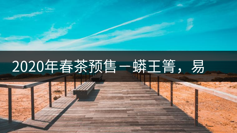 2020年春茶預售－蟒王箐，易武一個蟒蛇出沒的地方