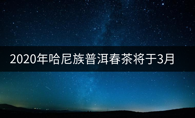 2020年哈尼族普洱春茶將于3月分開采