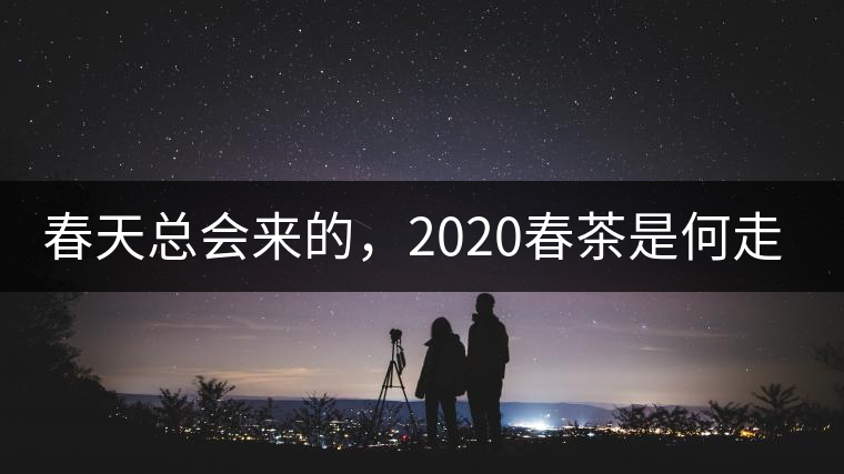 春天總會來的，2020春茶是何走勢？