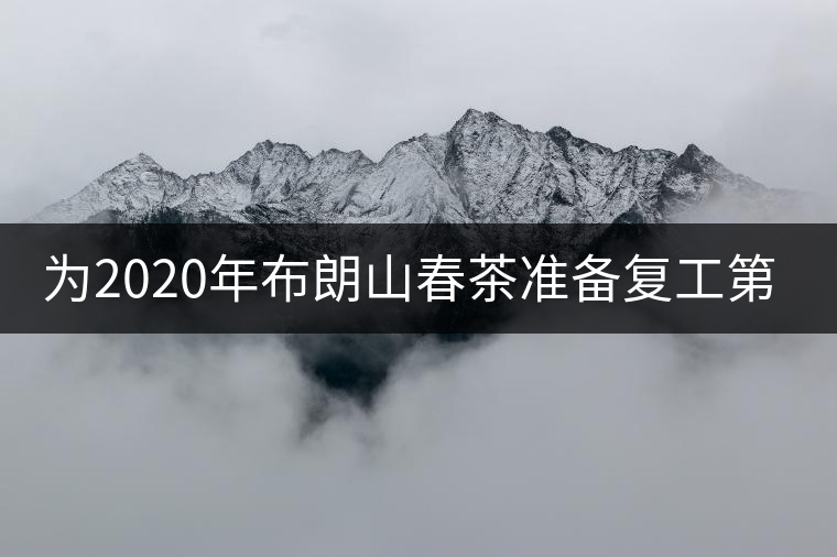 為2020年布朗山春茶準(zhǔn)備復(fù)工第13天 為2020年布朗山春茶準(zhǔn)備復(fù)工第13天