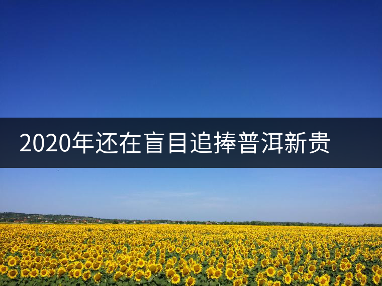 2020年還在盲目追捧普洱新貴“貓耳朵”？我們深入產(chǎn)區(qū)為你揭示最真實的“貓耳朵”！