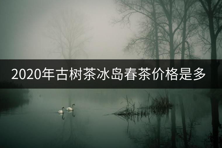 2020年古樹茶冰島春茶價格是多少？