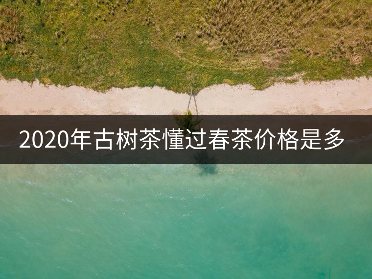 2020年古樹茶懂過春茶價格是多少？