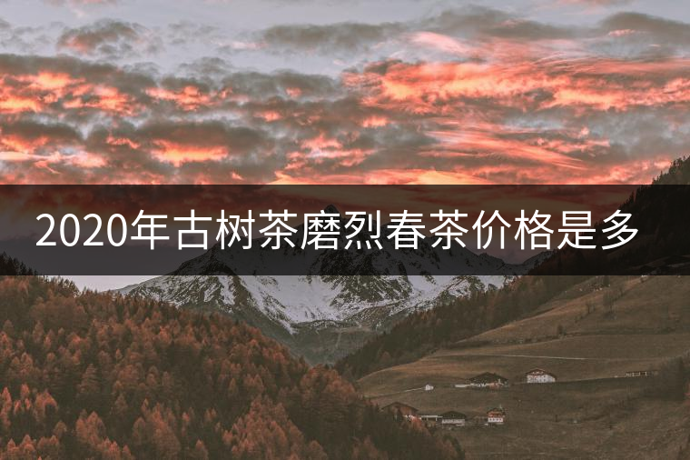 2020年古樹茶磨烈春茶價(jià)格是多少？