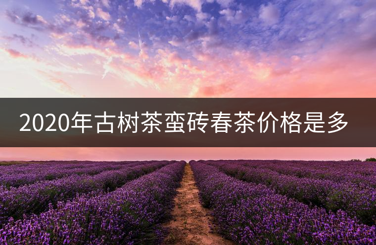 2020年古樹(shù)茶蠻磚春茶價(jià)格是多少？