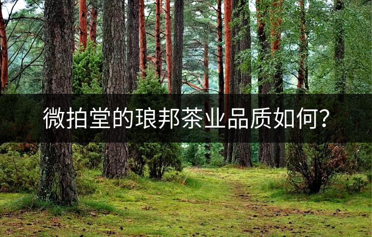 微拍堂的瑯邦茶業(yè)品質(zhì)如何？