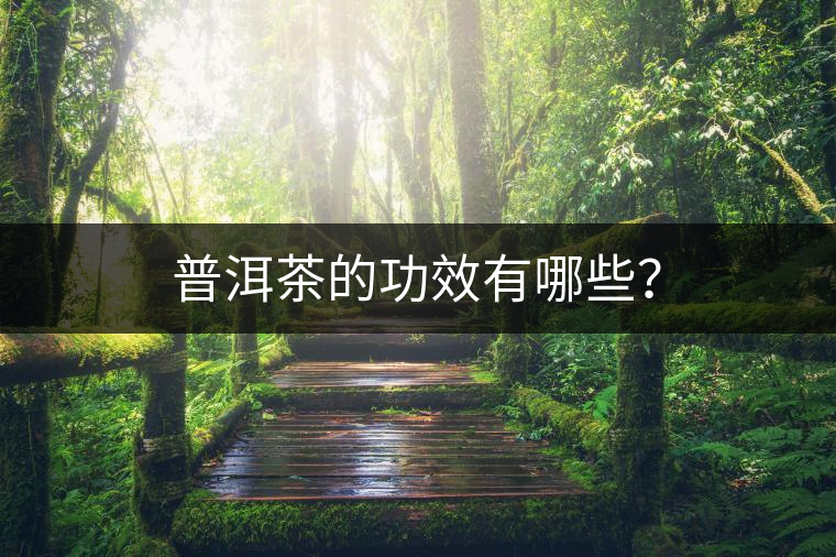 普洱茶的功效有哪些？