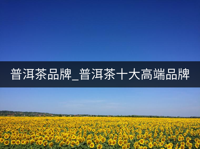 普洱茶品牌_普洱茶十大高端品牌_哪個(gè)牌子好? 普洱茶品牌_普洱茶十大高端品牌_哪個(gè)牌子好?