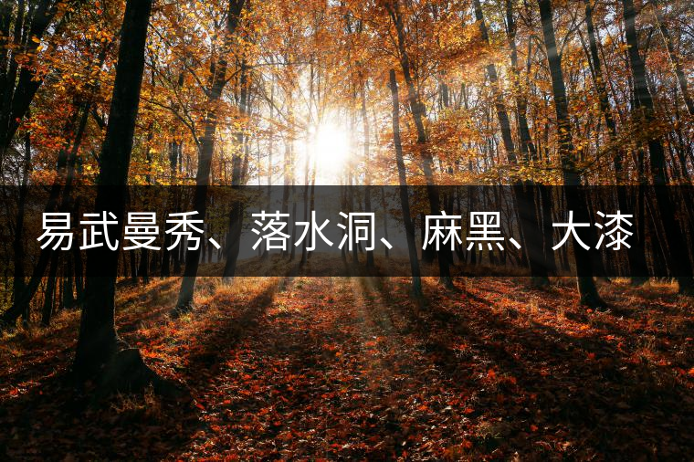 易武曼秀、落水洞、麻黑、大漆樹(shù)等你更喜歡哪個(gè)茶？