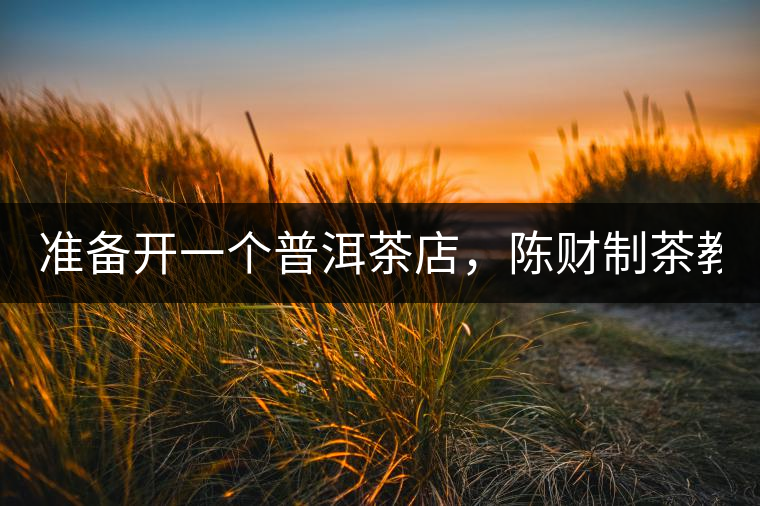 準(zhǔn)備開一個(gè)普洱茶店，陳財(cái)制茶教你怎么做！