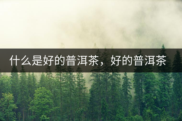 什么是好的普洱茶，好的普洱茶必須要有好的工藝！