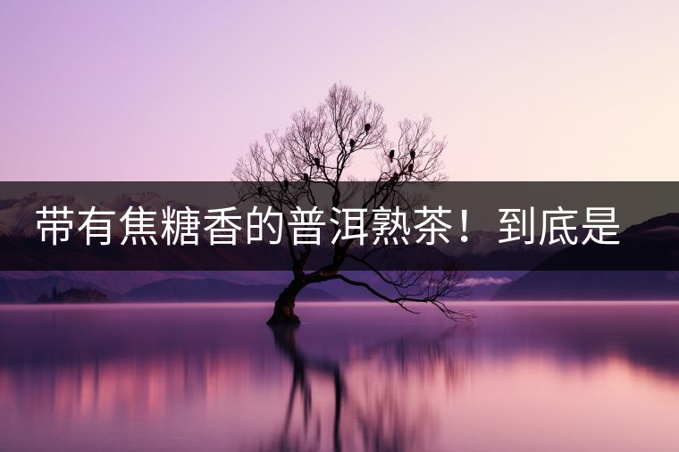 帶有焦糖香的普洱熟茶！到底是好是壞？