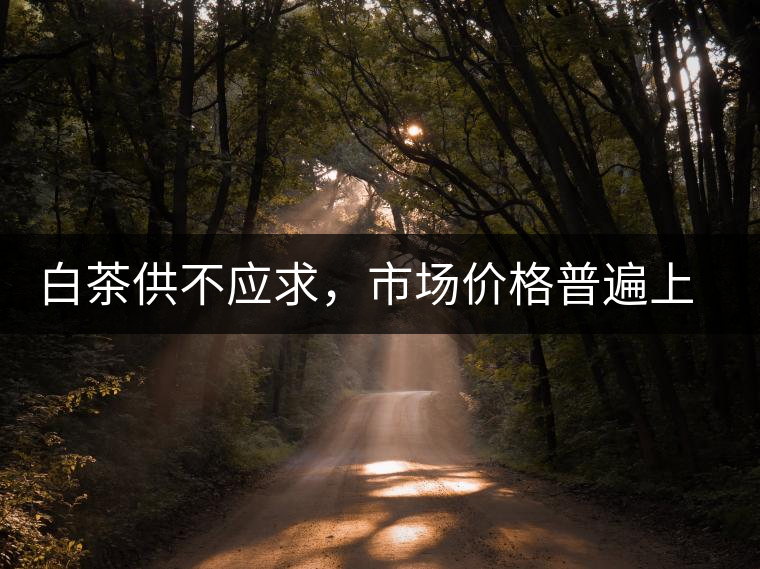 白茶供不應(yīng)求，市場價格普遍上漲？