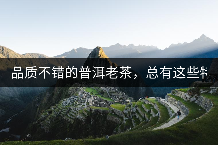 品質(zhì)不錯的普洱老茶，總有這些特點！