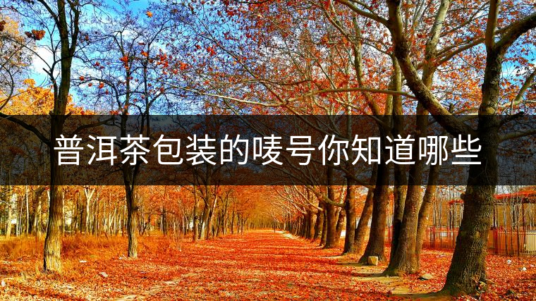 普洱茶包裝的嘜號你知道哪些 普洱茶包裝的嘜號你知道哪些