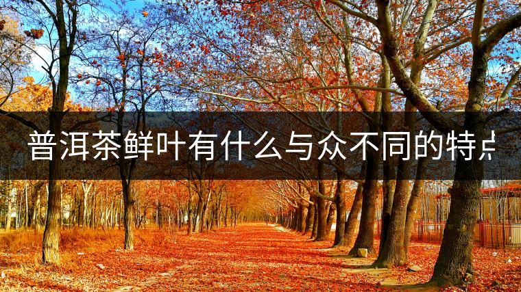 普洱茶鮮葉有什么與眾不同的特點(diǎn)？