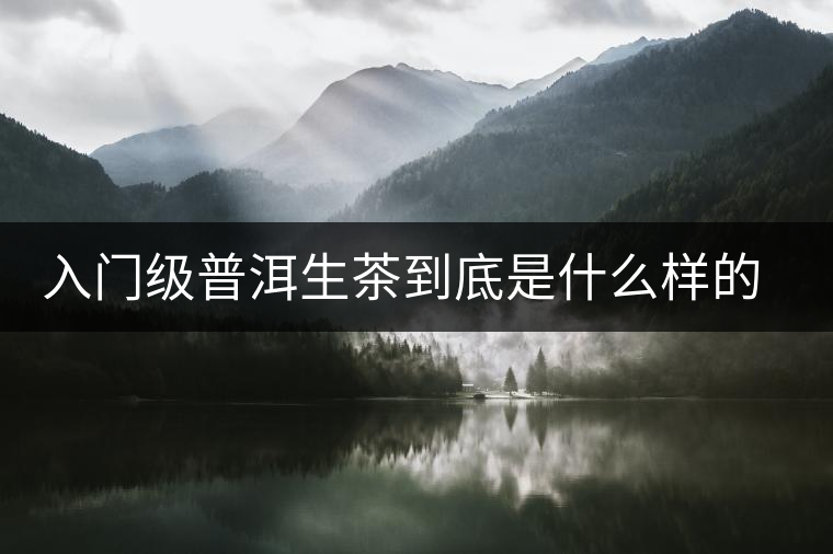 入門級(jí)普洱生茶到底是什么樣的口感？