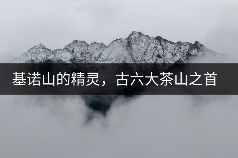 基諾山的精靈，古六大茶山之首武侯遺種攸樂(lè)古樹茶