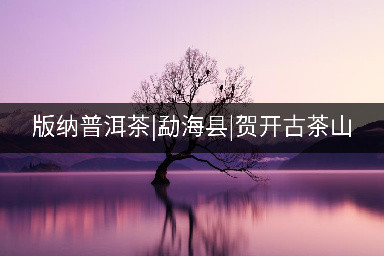 版納普洱茶|勐?？h|賀開(kāi)古茶山