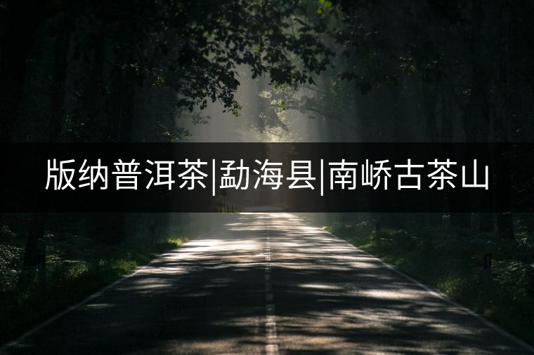 版納普洱茶|勐?？h|南嶠古茶山