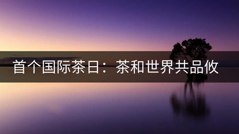 首個(gè)國際茶日：茶和世界共品攸樂貢茶