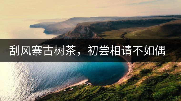 刮風(fēng)寨古樹茶，初嘗相請(qǐng)不如偶遇