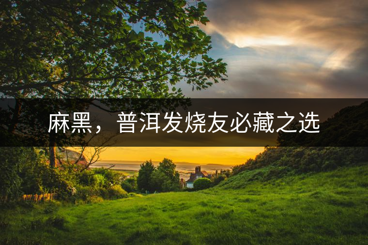 麻黑，普洱發(fā)燒友必藏之選