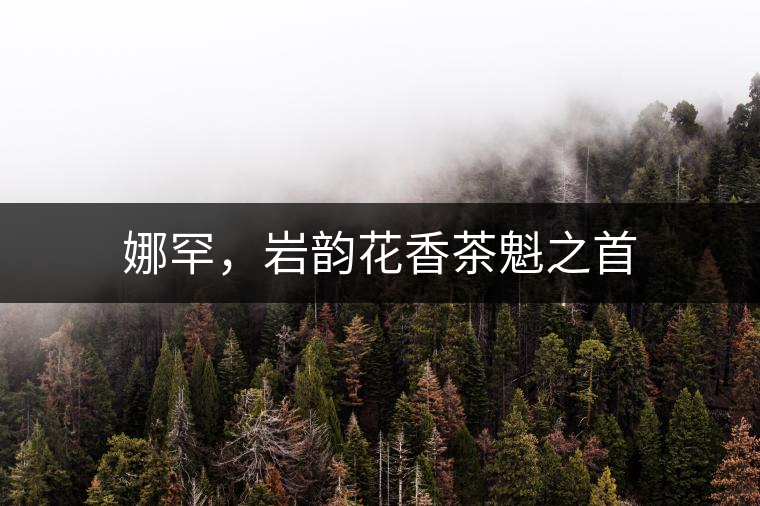 娜罕，巖韻花香茶魁之首