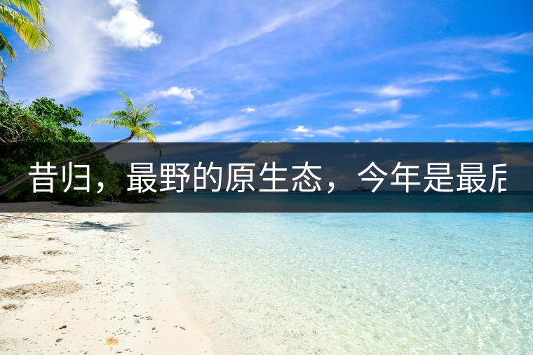 昔歸，最野的原生態(tài)，今年是最后一年了！