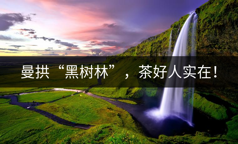 曼拱“黑樹林”，茶好人實在！