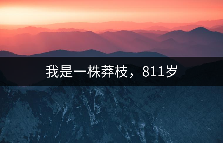 我是一株莽枝，811歲