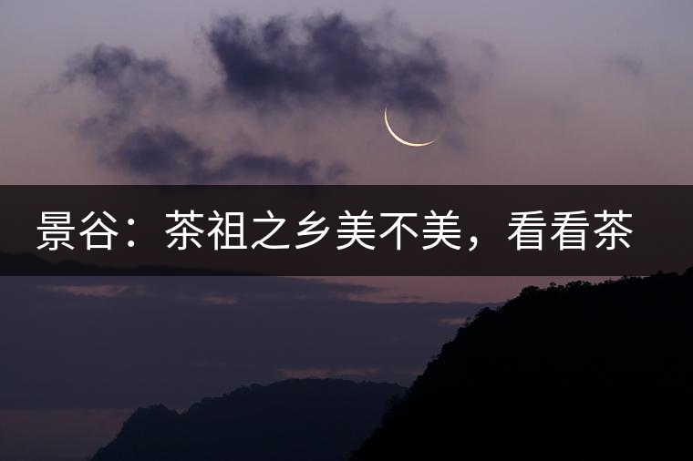 景谷：茶祖之鄉(xiāng)美不美，看看茶山和美人