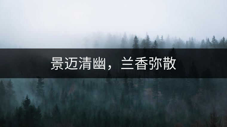 景邁清幽，蘭香彌散
