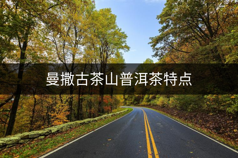 曼撒古茶山普洱茶特點