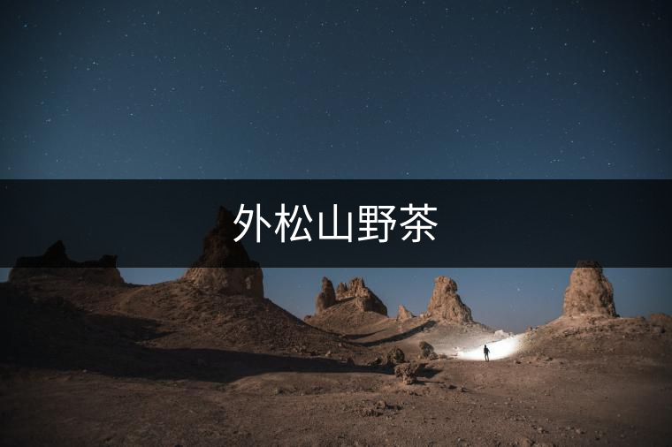 外松山野茶 外松山野茶