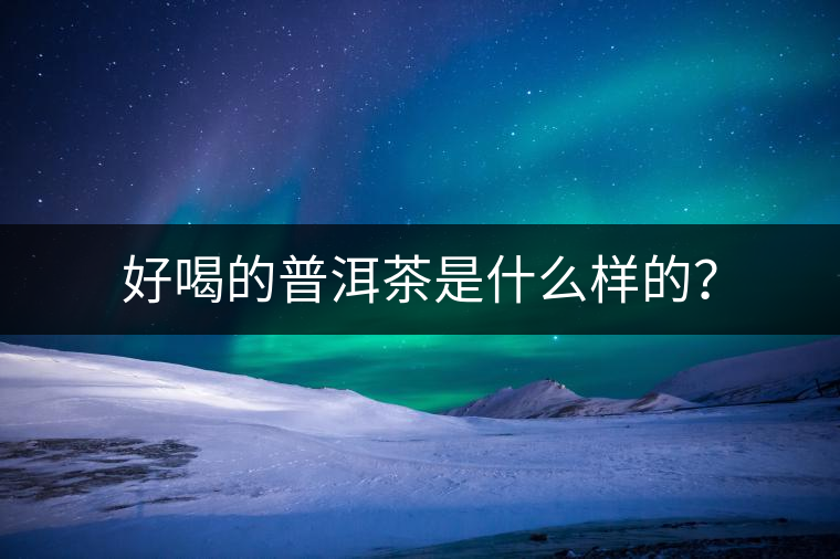 好喝的普洱茶是什么樣的？