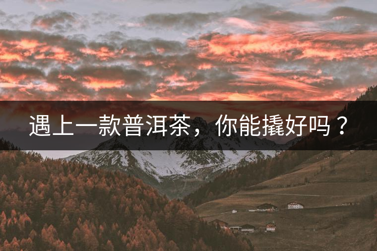 遇上一款普洱茶，你能撬好嗎 ？