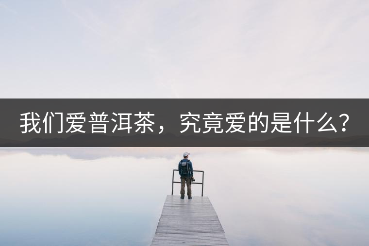 我們愛普洱茶，究竟愛的是什么？