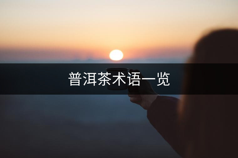 普洱茶術語一覽 普洱茶術語一覽