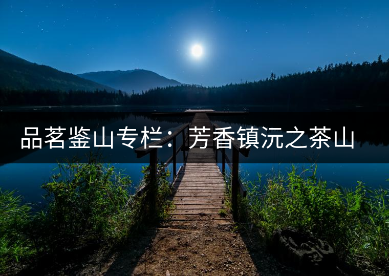 品茗鑒山專(zhuān)欄：芳香鎮(zhèn)沅之茶山箐