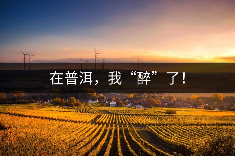 在普洱，我“醉”了！