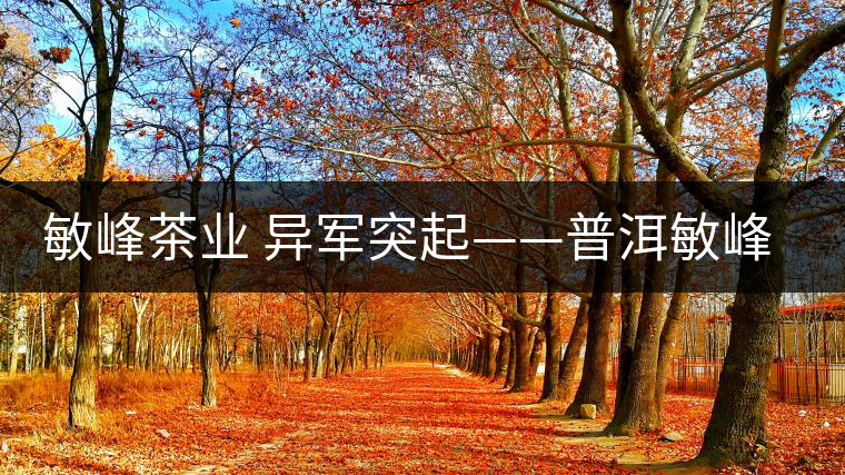 敏峰茶業(yè) 異軍突起——普洱敏峰茶業(yè)有限公司紀(jì)實(shí) 敏峰茶業(yè) 異軍突起——普洱敏峰茶業(yè)有限公司紀(jì)實(shí)