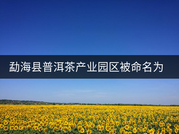 勐?？h普洱茶產(chǎn)業(yè)園區(qū)被命名為 