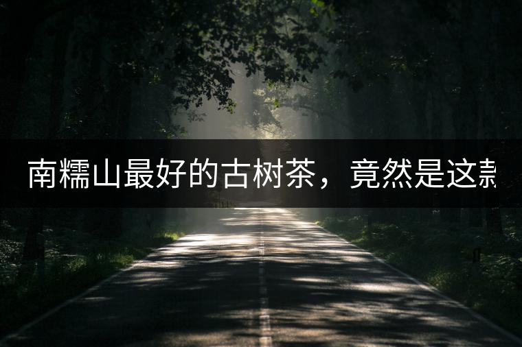 南糯山最好的古樹茶，竟然是這款！